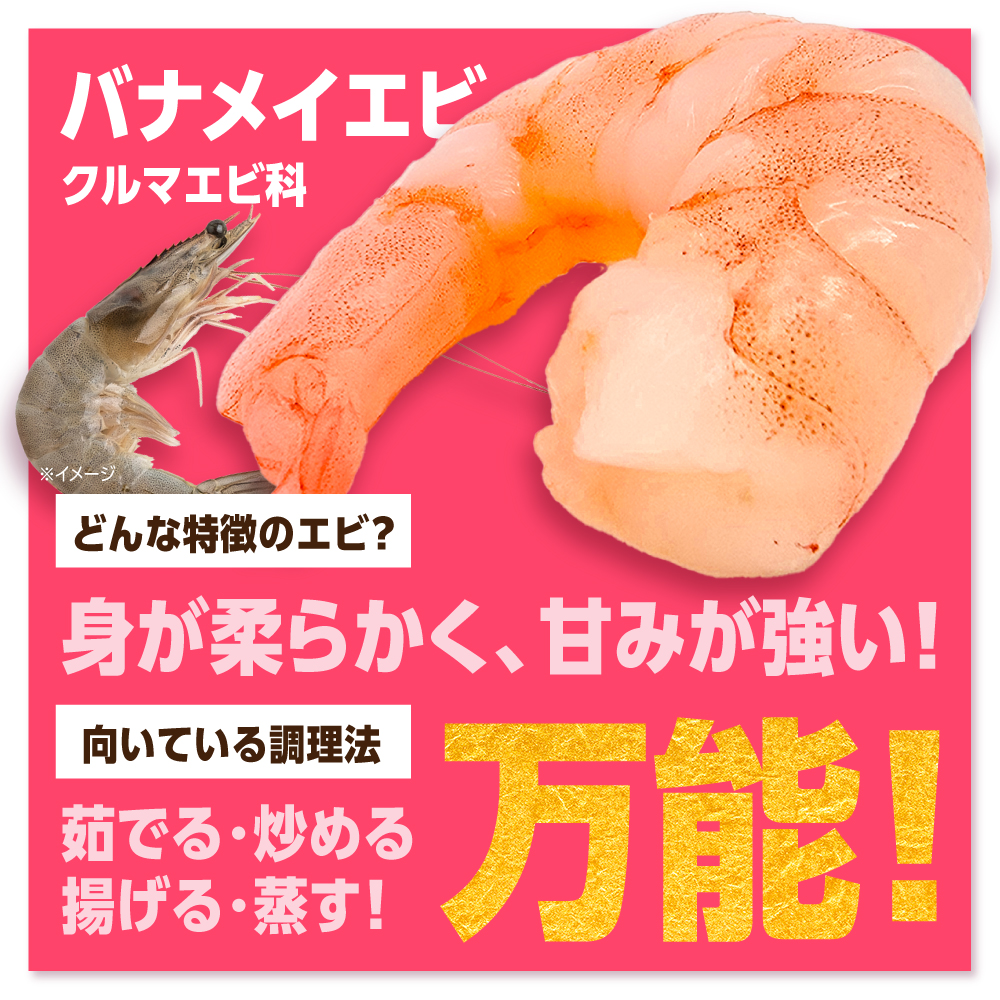背ワタ除去済み！ぷりぷりむきえび 計1kg（500g×2） 吉野ヶ里町/EBI研究所 [FDE001] えび エビ 海老  むきえび むきエビ 人気 簡単 おかず