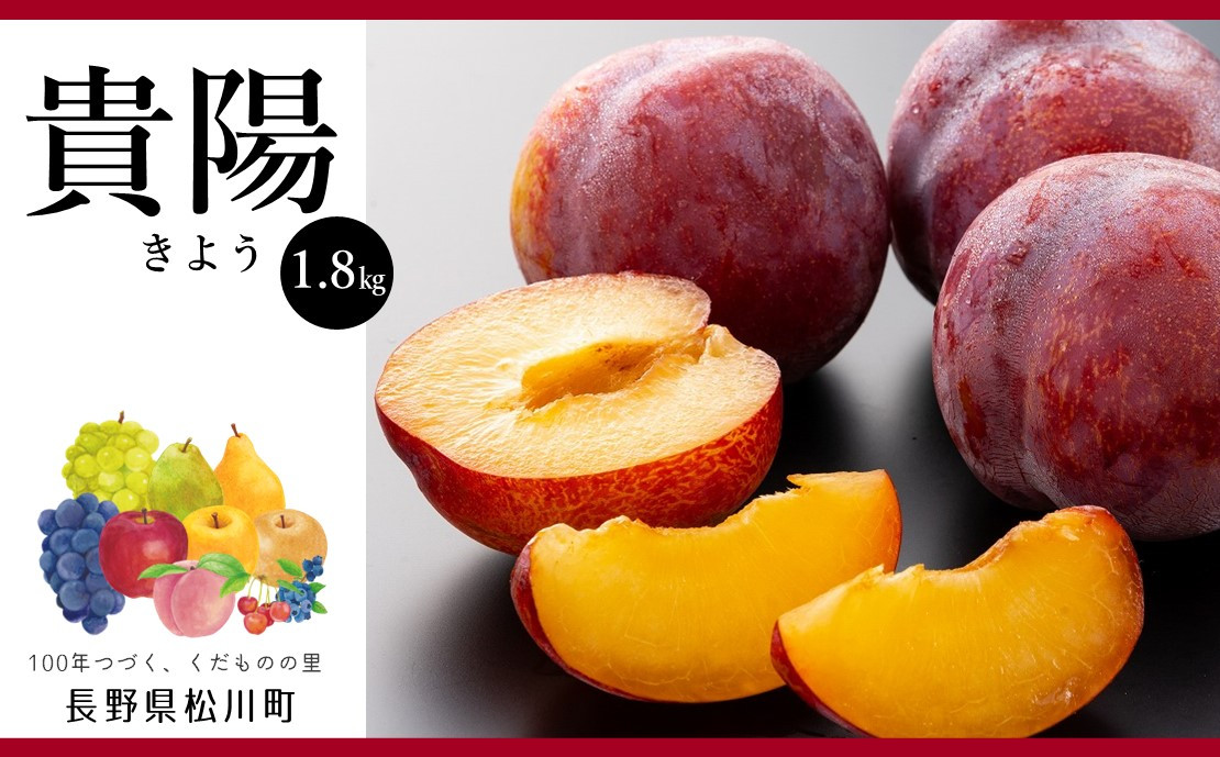 
            AS01-25A プラム 貴陽 （松川町産）秀品 約1.8kg ／2025年8月上旬～中旬頃 配送予定// 長野県 南信州 松川町 プラム すもも 希少 贈答 産地直送 新鮮 数量限定
          