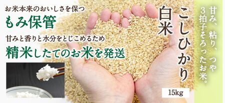 Y309 特別栽培米コシヒカリ15kg