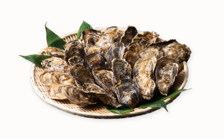 【北海道根室産】貝付き牡蠣30個[11月上旬以降発送] B-54006