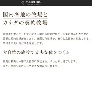 【フジチク】ふじ馬刺し 上赤身80g×4 国内肥育 熊本肥育 熊本と畜 新鮮 熊本と畜 希少 馬刺し 馬肉 高級部位 320g 専用タレ ショウガ付き 冷凍 真空パック ISO22000取得 UKAS
