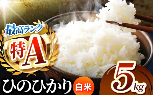 熊本県産 ひのひかり 白米 5kg | お米 米 こめ おこめ 精米 白米 ヒノヒカリ 5キロ フードロス 国産 国産米 くまもと 熊本 熊本県 玉名市 玉名