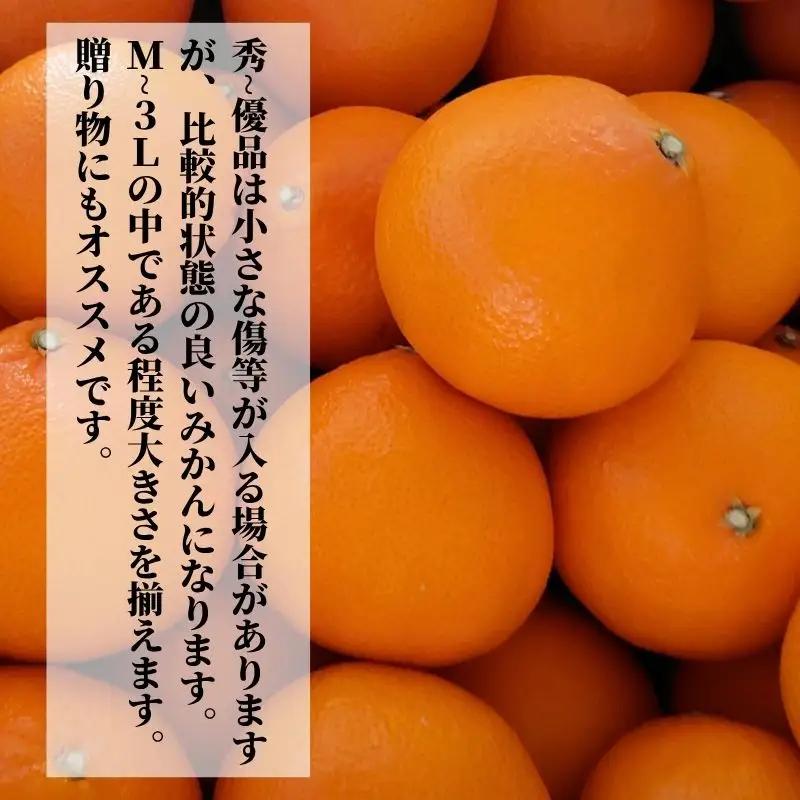 【2027年2月下旬頃から順次発送】愛果48号 秀?優品 約5.0kg | 愛媛 愛媛県産みかん 蜜柑 ミカン mikan みかん あいか 柑橘 お取り寄せ グルメ 期間限定 数量限定 果物 旬 愛媛