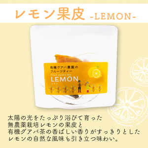 フルーツティーはじめてセット 【ティーバッグ3種】