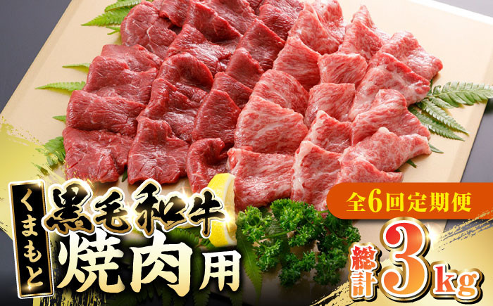 
【全6回定期便】くまもと黒毛和牛 焼肉用 500g やきにく 焼き肉 国産 冷凍 熊本産 贅沢 ブランド牛 牛肉【やまのや】[YDF024]
