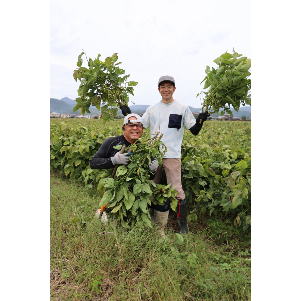 【令和8年10月中旬頃から11月上旬頃発送予定】日本遺産 丹波篠山市 JAS有機栽培 オーガニック黒枝豆（200ｇ×5袋） プレミアム枝豆 期間限定 黒枝豆 えだまめ エダマメ お取り寄せグルメ 高級