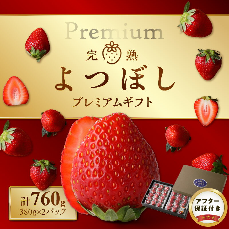 【ふるさと納税】イチゴ 完熟 よつぼし プレミアム ギフト 期間限定 380g 2パック 計760g 特別栽培 大粒 厳選 糖度が高い 濃厚 冷蔵 特殊トレー ゆりかーご 贈り物 フルーツ 果物 お取り寄せ 送料無料