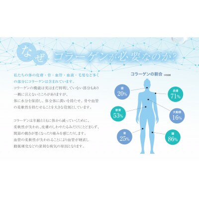 ドクターウェルネス ナチュラルマリンコラーゲン 60包(顆粒)【1548428】