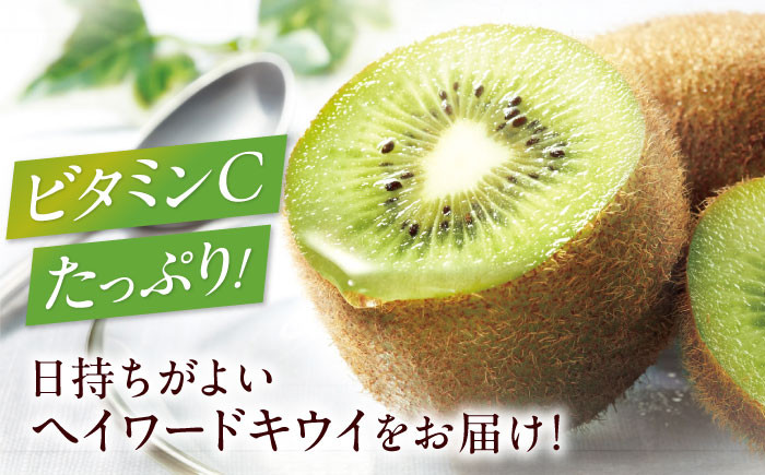 食品 果物 フルーツ おやつ デザート キウイ ジュース スムージー ヨーグルト 贈答品 ギフト プレゼント