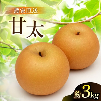 甘太 梨 3kg 6～10玉 【2026年収穫分】かすみがうら市【配送不可地域：離島・沖縄県】
