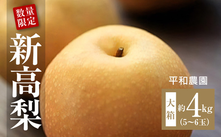 数量限定!平和農園 新高梨 大箱 約4kg