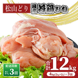 【定期便3回】松山どり むね肉 2kg×2パック×3回　計12kg 【BJ016】