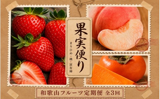 
                  【全3回】紀州和歌山産旬のフルーツ定期便 (いちご・桃・富有柿) 【tkb373】
                