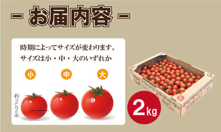 【先行予約】【令和8年1月中旬頃より出荷】熊太郎とまと（2kg）甘さ 濃縮 トマト 塩 ベアーズファーム B190-009 トマト