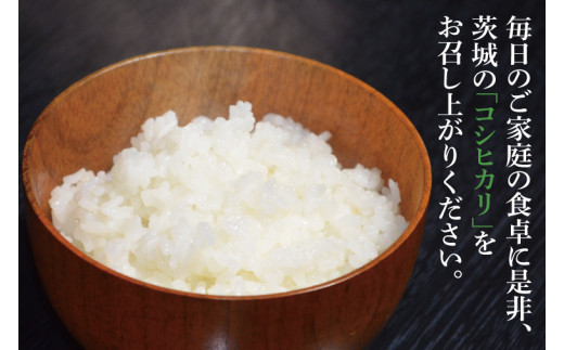 令和7年産 茨城県産 コシヒカリ5kg【お米 米 こしひかり ごはん 茨城県】（03-48）