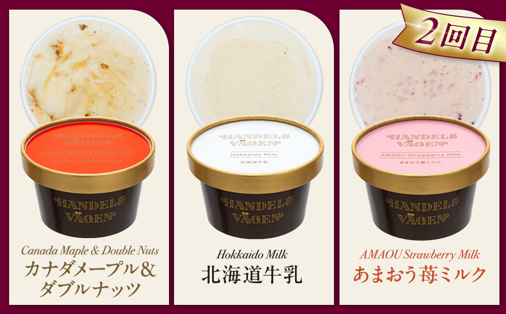 【全３回 / 定期便】ハンデルスベーゲン 無添加アイスクリーム / カップアイスクリーム6個×全3回  全18個 毎月届く バニラ 抹茶 ピスタチオ あまおう ラムレーズン