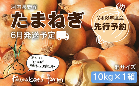 【令和8年度産玉ねぎ先行予約】玉ねぎ 10kg×1箱 ※6月より発送予定
