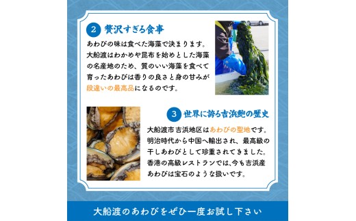 訳あり エゾアワビ 約1kg 冷凍 鮑 蝦夷あわび あわび アワビ 鮑 Abalone ステーキ  バターソテー 正月 お正月 おせち  刺し身 刺身 バーベキュー BBQ ごはん 夕飯 おかず おつまみ 晩酌 米 丼 海産物 海鮮 魚介 魚介類 贈答品 お中元 お歳暮 大船渡 三陸 岩手県 国産