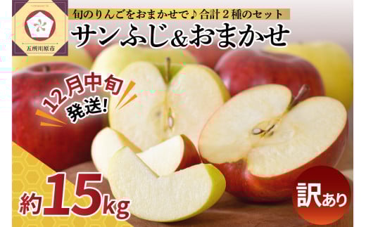 【2025年12月中旬発送】 【訳あり】 りんご 15kg 詰め合わせ 計2種(サンふじ と 他1種) 不揃い フルーツ 家庭用