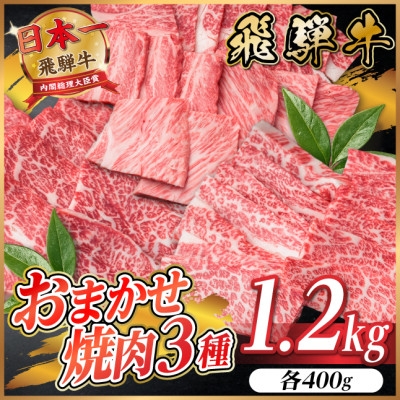 
                  飛騨牛　おまかせ焼肉3種セット約1.2kg(各約400g)訳あり【1739040】
                