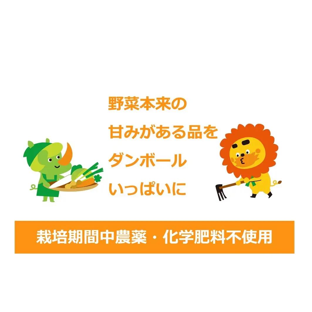 野菜セット 産地直送 旬の野菜7種 国産 農園直送 野菜セット【2～4名向】
