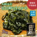 【ふるさと納税】【佐田岬・漁師直送】佐田岬の生わかめ（200g×10P) ｜ 藻 魚介類 食品 味噌 西宇和産 味噌汁 酢の物 サラダ 簡単調理 手軽 人気 木嶋水産 ※離島への配送不可