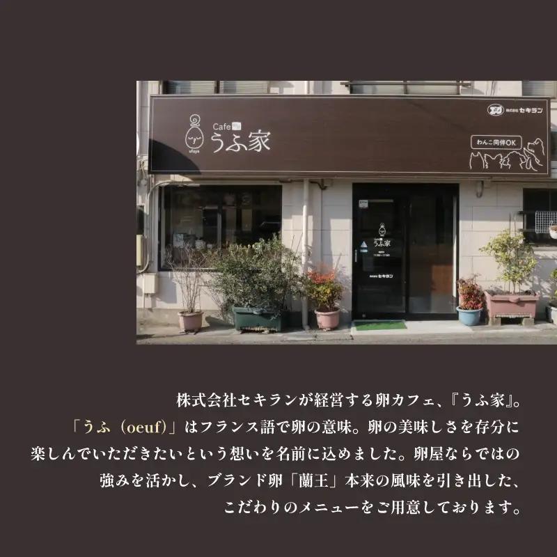 蘭王ぷりん 6個 プリン セット NR