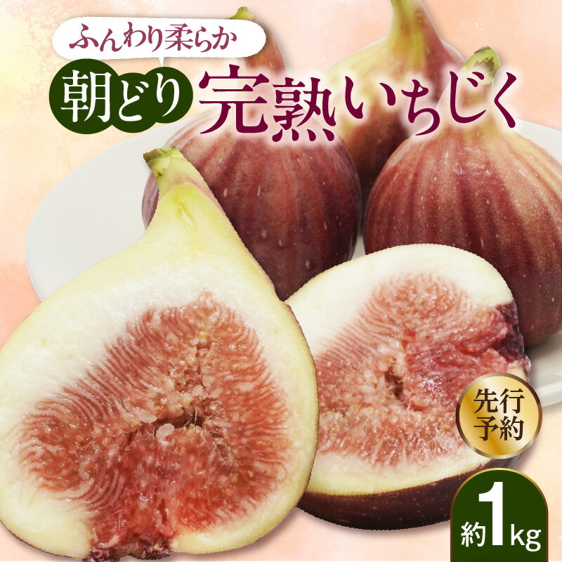 【ふるさと納税】【期間・数量限定】ふんわり柔らか 朝どり 完熟いちじく 約1kg フルーツ 果物 果実 朝採れ お取り寄せ 農園 料理 デザート グルメ 国産 ギフト 愛知県産 常滑市 冷蔵 送料無料