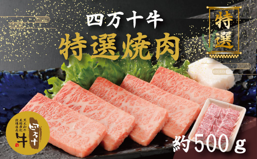 26-977．幻のメス牛 四万十牛特選焼肉（約500ｇ）