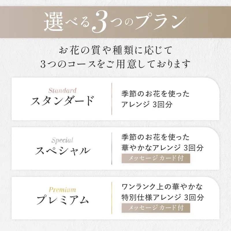 花 ふるさと定期便 3回 お届け 三宅町に住む家族へ 花束 ギフト The Plants:スペシャル