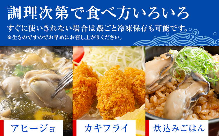 浜崎水産の天草天領岩かき 約5kg 《4月上旬‐7月末出荷》 【配送不可地域あり】 海鮮 海産物 海の幸 シーフード 魚貝類 かき 牡蠣 岩かき 岩牡蠣 夏牡蠣 生食用 生もの 濃厚 熊本県 苓北町-