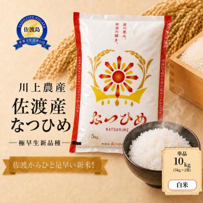 ふるさと納税 佐渡市 【令和8年産】佐渡産 なつひめ 10kg(5kg×2袋)精米　川上農産のお米
