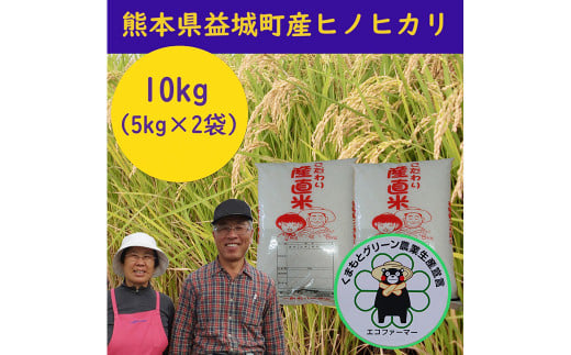 【2024年11月上旬～2025年9月下旬発送予定】熊本県 益城町産 令和6年産 「ヒノヒカリ」 10kg（5kg×2袋）