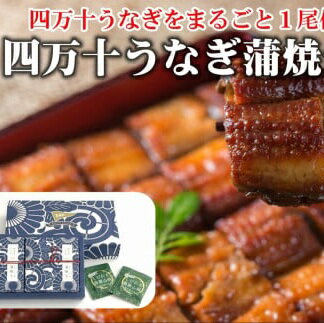 【ふるさと納税】 四万十うなぎ 缶詰 蒲焼 2缶 セット 山椒付き 鰻 蒲焼き 高級 贅沢 防災 災害 備蓄 非常食 おかず プレゼント ギフト 魚 魚介類 海鮮 惣菜 ふるさと納税うなぎ ふるさと納税鰻 ふるさと納税缶詰 ふるさと納税防災 ［1421］