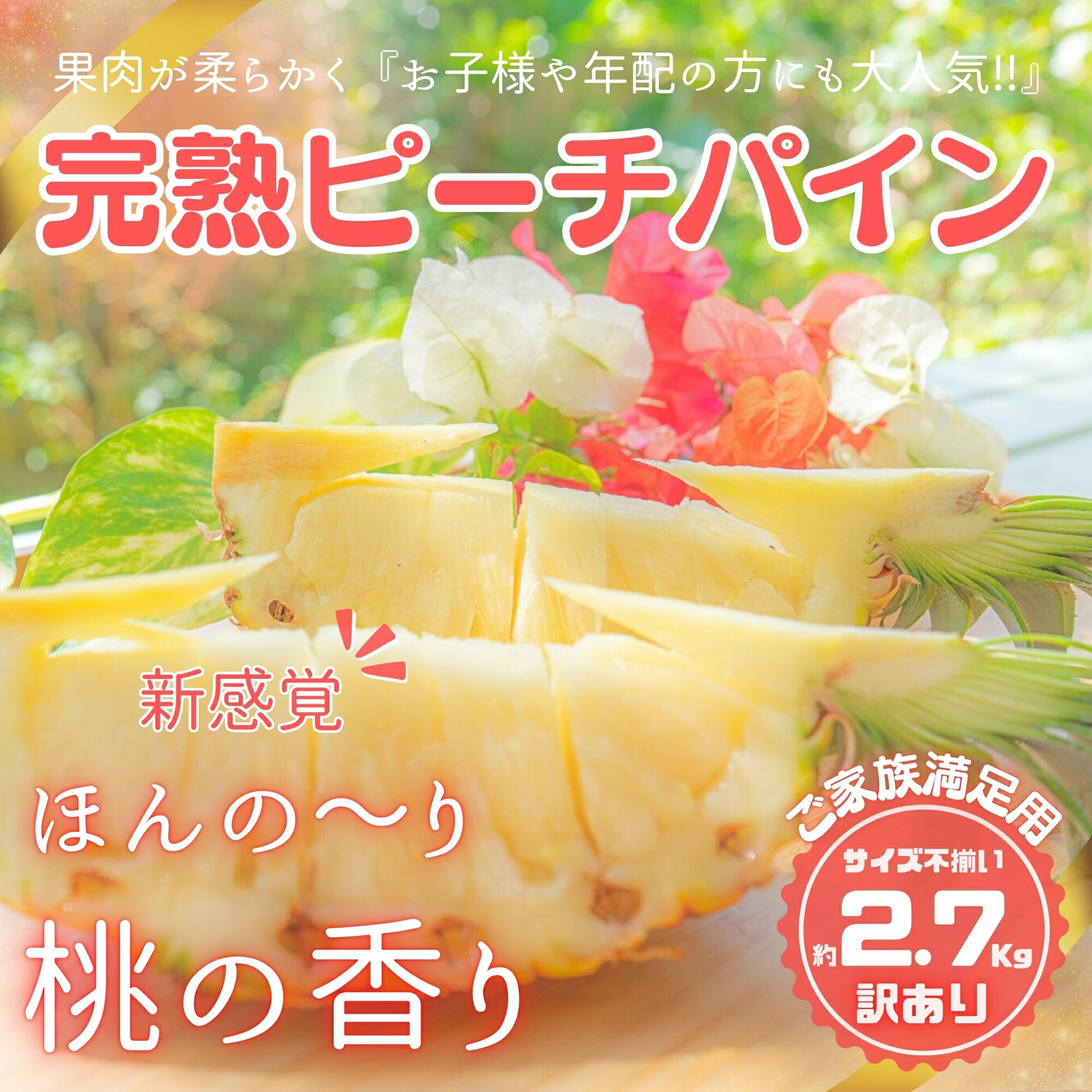 【ふるさと納税】【訳あり】☆新感覚の味わい☆ まるで桃のような甘〜い香り『西表島産 完熟ピーチパイン』約2.7kg 【不揃い 果物 フルーツ デザート パイン 訳アリ 希少 規格外 送料無料】 お届け：2025年4月下旬頃から順次発送・6月末頃まで