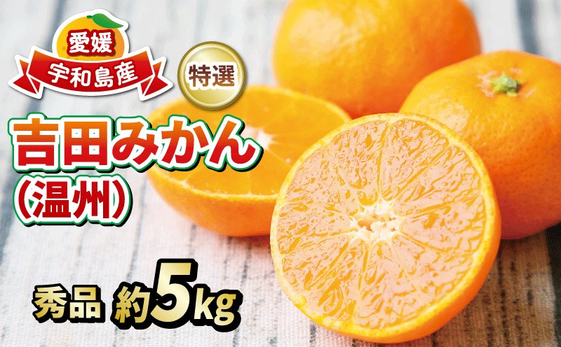 
            愛媛 みかん  贈答用 秀品 5kg 2024年12月発送 フレッシュつちやま 特選 温州 温州みかん 贈答用みかん 早生 早生温州 南柑20号 贈答品 ギフト プレゼント 高級 果物 くだもの フルーツ 柑橘 蜜柑 愛媛みかん 愛媛蜜柑 愛媛ミカン 農家直送 産地直送 数量限定 国産 愛媛 愛媛県産 宇和島 B015-096004
          