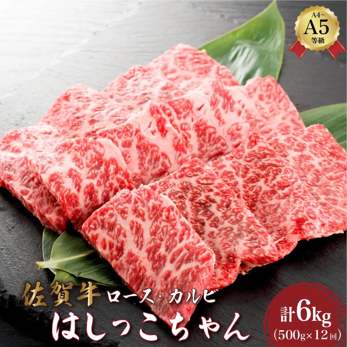 ＜定期便12回＞佐賀牛 ロース・カルビ 計6kg (500g×12回)