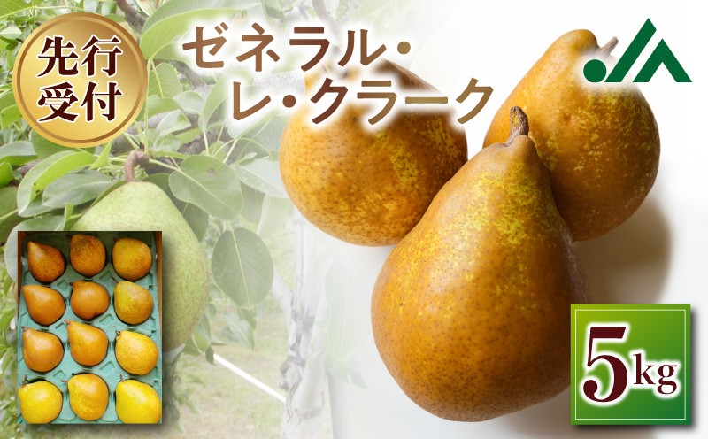 
                  【先行受付：2026年10中旬以降発送分】洋梨（ゼネラル・レ・クラーク） 5kg
                