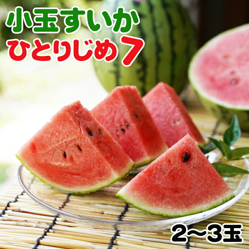 【ふるさと納税】《冷蔵庫にそのまま入るサイズ》和歌山産小玉すいか ひとりじめ7(2〜3玉) ふるさと納税 スイカ ふるさと納税 すいか ふるさと納税 小玉スイカ ふるさと納税 果物 ふるさと納税くだもの ふるさと納税フルーツ 送料無料
