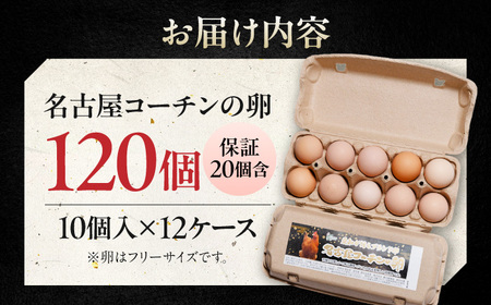 名古屋コーチン 卵 120個（10個入×12パック）（保証20個含） / 卵 たまご 玉子 鶏卵 名古屋コーチン / 稲沢市 / 櫛田養鶏所 [BMAY002]