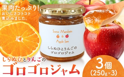 ジャム フルーツ 不知火 りんご しらぬひとりんごのゴロゴロジャム 3個 (1個250g) 有限会社美馬交流館《30日以内に出荷予定(土日祝除く)》徳島県 美馬市 送料無料 ジャム 果物 果肉 ごろごろ たっぷり みかん リンゴ しらぬい デコポン