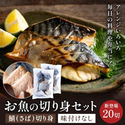ふるさと納税 関市 さば 切り身 20切れ 学校給食馴染みのお魚/サバ 鯖 冷凍 簡単 お弁当 おかず