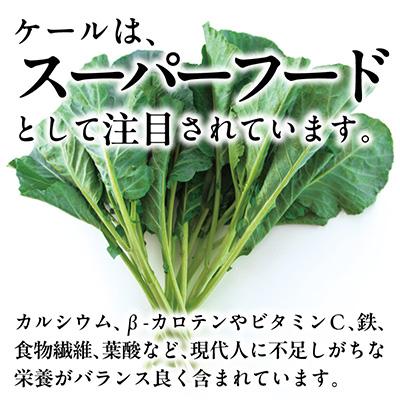 ふるさと納税 磐田市 【訳あり】ソフトケール 1kg【TV紹介で大好評】おいしさで、ケールに革命を。 |  | 01