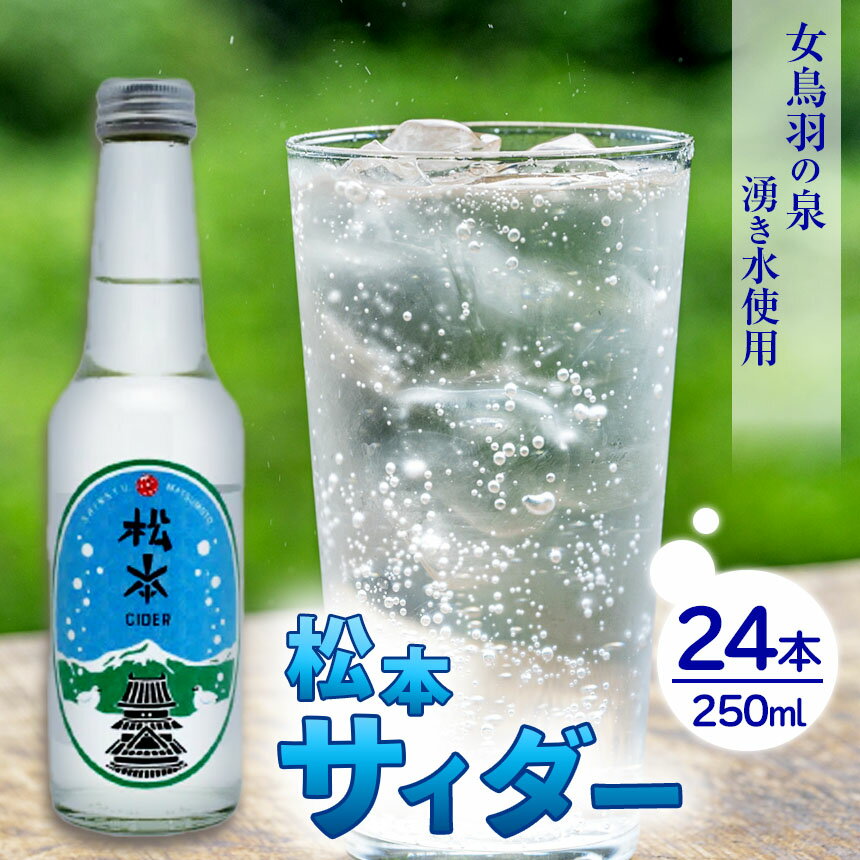 【ふるさと納税】松本サイダー 500ml×24本 ｜ ふるさと納税 サイダー 炭酸 炭酸飲料 さわやか 天然水使用 飲料 ペットボトル ソフトドリンク ドリンク 長野県 松本市