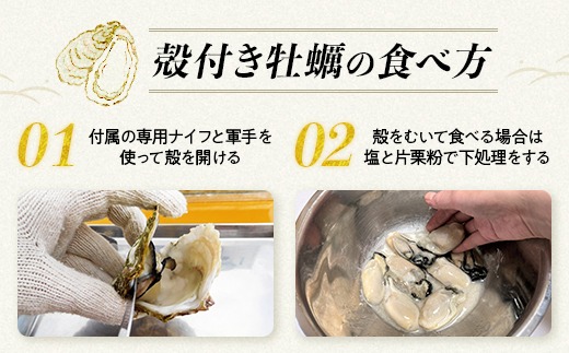 【能登半島地震復興支援】魚介類 牡蠣　/ 能登かき　殻付牡蠣 半缶/約5kg（約40～50個） 専用ナイフ 片手用軍手付 /世界農業遺産「能登の里山里海」｜石川県 七尾市 能登 ※要加熱 ※2026年
