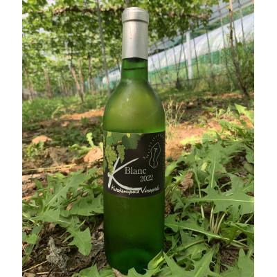 ふるさと納税 新見市 黒髪山葡萄園　白ワイン(ひるぜんワイナリー醸造)　720ml　1本