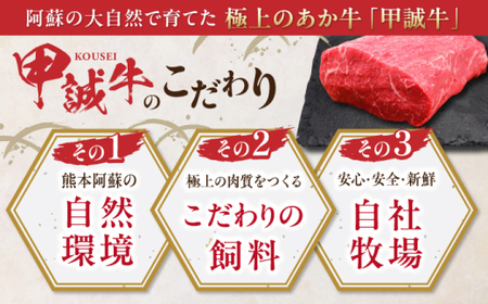 【全6回定期便】熊本和牛あか牛モモ ブロック 約500g 【有限会社 三協畜産】[AYCQ065]