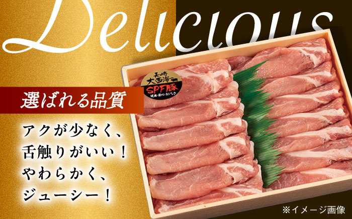 肉 豚 ぶた ブタ ロース しょうが焼き 生姜焼き しゃぶしゃぶ 小分け 長崎 九州 定期便