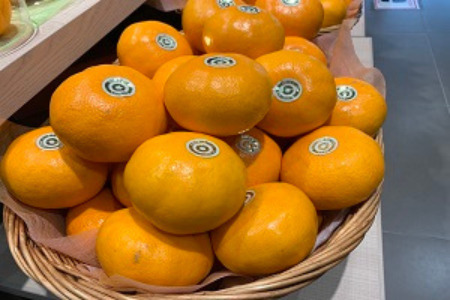 佐賀みかん にじゅうまる：B340-002