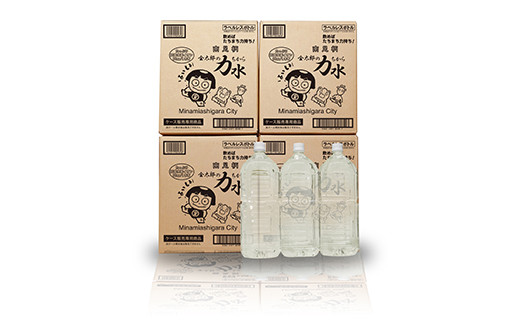 おためしBセット 南足柄 金太郎の力水 ラベルレス 2L×24本 （6本入×4箱）【飲料 飲料水 天然水 ミネラル ウォーター 水 お水 ギフト プレゼント 贈り物 お返し おいしい まとめ買い 備蓄品 神奈川県 南足柄市 】
